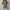 White Thick Knit Hooded Mini Dress - Korean Elastic High-Waist Bandage Long Sleeve Slim Fit