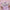 13-Piece Makeup Brush Set – Soft Fluffy Synthetic Brushes for Foundation Blush Powder Eyeshadow Kabuki Blending