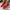 Breathable Mesh Slip-On Flats for Women — Lightweight Casual Loafers with EVA Insole (Plus Size EU 43)