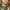 24pc Christmas Press-On Nails Set Medium Long Snowman Santa Snowflake Square Tips