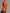 Women's V-Neck Button Lapel Knitted Sweater Dress — Knee-Length A-Line Casual (Spring/Autumn)