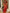 Luxury Red Hooded Evening Dress for Women – Deep V Neck, Sequin Glitter Mesh and Sheer Back Sparkle Gown