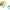 Handheld D-Shaped Double Roller Anti-Cellulite Massager — Slimming Tool for Face, Legs & Body