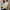 Women's Hollow Knit V-Neck Long Sleeve Slim Stretch Pullover — Lightweight Autumn/Winter Layering Top