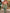 Mozision Off-Shoulder Strapless Maxi Dress, Sleeveless Backless Ruched Bodycon A-Line Party Gown