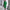 Turtleneck Ribbed Sweater Midi Dress – Long Sleeve Stretch Knit for Autumn/Winter Party & Club