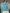 Fashion100% Merino Wool Sweater Cashmere  Pullover Women Knitwear V-Neck Long Sleeve  Autumn Winter Fashion Basic Clothing  Tops