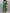 Women's Letter Print Long Sleeve Jumpsuit - Button-Front High-Waist One-Piece Overalls for Office & Streetwear