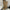 Eilyken Knee-High Pointed Toe Thin Heel Boots for Women – Winter Street Style Vintage Punk Booties