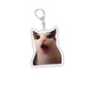 Funny Cat Meme Acrylic Keychain - Cute Cartoon Cat Bag Pendant & Lanyard for Women, Students, Unisex Gift