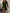 Corduroy Midi Dress — Long Sleeve Turn-Down Collar with Sash, Mid-Calf Casual Party Dress, Plus Size up to 5XL
