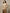 SuyaDream Alpaca Blend Drop-Shoulder Pullover Sweater – Loose O-Neck One Size (47.2 in / 120 cm), Camel Beige