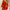 Women's Floral V-Neck Ruffle Batwing Sleeve Bohemian Mini Dress - Loose Summer Beach Vacation Sundress