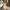 Mingmingxi Yellow A-Line Lace-Up Mini Dress - Sleeveless V-Neck Cutout Summer Party & Holiday Dress
