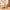 Women's Cow Suede Loafers — Square Toe Lace-Up Flats, Soft Sole Office & Casual Shoes, Sizes US 5–10.5 (22–27 cm / 8.66–10.63 in)