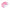 Handheld D-Shaped Double Roller Anti-Cellulite Massager — Slimming Tool for Face, Legs & Body