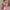 Women's Long Sleeve Majolica Print Bikini Set with High-Waist Skirt - Wire-Free Padded Beach Swimsuit