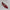 Women's Square Toe Vintage Leather Loafers Soft Comfortable Ballet Flats