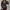 Women's Faux Leather Belted Coat with Fur Trim – Streetwear Elegant Outwear