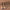 Makeup Brush Set – 15/10/7-Piece Synthetic Face & Eye Brushes for Foundation, Powder, Blush, Eyeshadow, Eyeliner & Lip