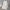 Plus Size Women's A-Line Skirt Summer Casual Mid-Calf Umbrella Skirt