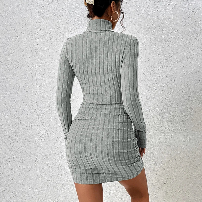 Women's Turtleneck Long Sleeve Knitted Bodycon Mini Dress - Autumn Winter Sheath Party Club