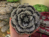Floral Rhinestone Minaudiere Evening Clutch Rose Crystal Bridal Wedding Party Bag
