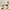 Dog Hair Storage Keychain Pendant Cute Resin Dog Fur Keeper Bag Charm for Car Keys, Couples & Gifts