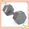 20 lb (9 kg) Hex Dumbbell - Rubber-Coated Cast Iron Anti-Roll Home Gym Weight