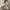 Women's Oversized V-Neck Knit Sweater - Harajuku Korean Long Sleeve Loose Pullover for Autumn Winter