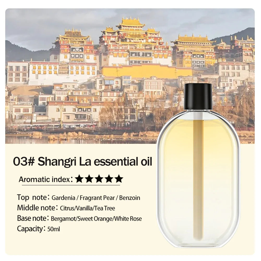 Rechargeable Portable Aroma Diffuser – Essential Oil Aromatherapy Air Freshener with 5 Timed Spray Modes