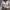 Women’s Lace V-Neck Pullover Blouse Long Sleeve Casual Shirt, Regular Fit with Tatting Trim - Spring/Summer
