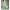 Women’s Boho Deep V-Neck Maxi Dress - Short Sleeve Beach & Party A-Line Chiffon