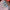 24pc Christmas Press-On Nails Set Medium Long Snowman Santa Snowflake Square Tips