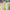 Ankle-Length Kimono Dress for Women – Traditional Japanese Yukata Cosplay Party Ethnic Streetwear
