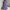 Casual Loose V-Neck Mini Dress with Pockets – Half Sleeve A-Line Summer Dress