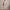 Women's Elegant Beaded Slim Solid-Color Party Jumpsuit - Half Sleeve Long Casual for Spring/Autumn