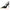 Woven Hollow Pointed-Toe Stiletto Pumps for Women – 9.5 cm (3.7 in) Buckle High Heels, Summer Party Sandals