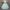 Girls Ballet Tutu Dress – Puffy Princess Dance Dress for Kids, Summer Performance & Party