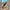 Floral Print Spaghetti Strap Bodycon Ankle-Length Dress - Backless Slim Sheath Summer Dress for Women