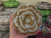 Floral Rhinestone Minaudiere Evening Clutch Rose Crystal Bridal Wedding Party Bag
