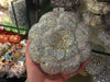 Floral Rhinestone Minaudiere Evening Clutch Rose Crystal Bridal Wedding Party Bag