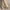 Women's Chunky Knee-High PU Leather Chelsea Boots Pointed Toe Square Heel Platform Winter Boots