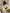 Women's Yellow Letter Print Knitted Pullover O-Neck Long Sleeve Loose Short Sweater, Casual Autumn/Winter Knitwear