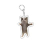 Funny Cat Meme Acrylic Keychain - Cute Cartoon Cat Bag Pendant & Lanyard for Women, Students, Unisex Gift