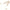 Wooden Handheld Massage Roller and Gua Sha Tool – Full-Body Trigger Point Massager for Women & Men