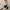 Women's Vintage Square-Collar Knit Pullover Sweater - Slim Fit Autumn/Winter (Korean Style)
