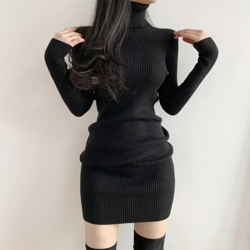 Women Autumn Winter Warm Turtleneck Bodycon Knit Mini Dress Long Sleeve Office Pullover