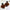 Real Fox Fur Slides for Women Luxury Furry Flat Slide Sandals