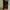 Women's Latin Dance Jumpsuit — Backless Long Sleeve with Mesh Fringe Skirt for Rumba Cha Cha Performance